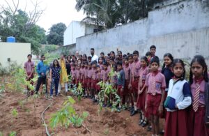 Inchara Tree Plantation Program