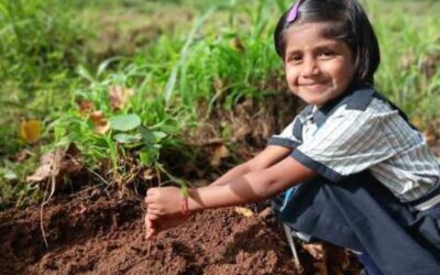 Soil Day Sapling Distribution & Plantation