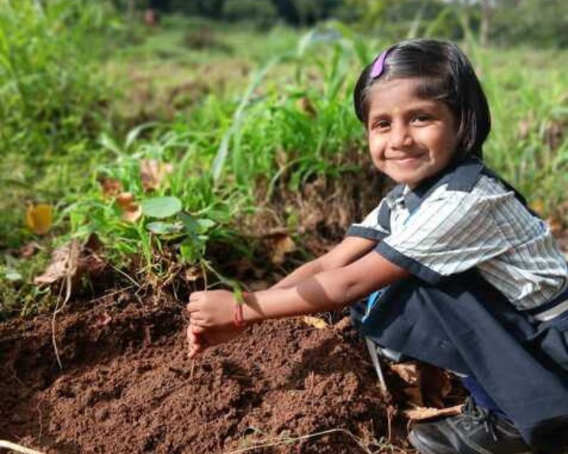 Soil Day Sapling Distribution & Plantation