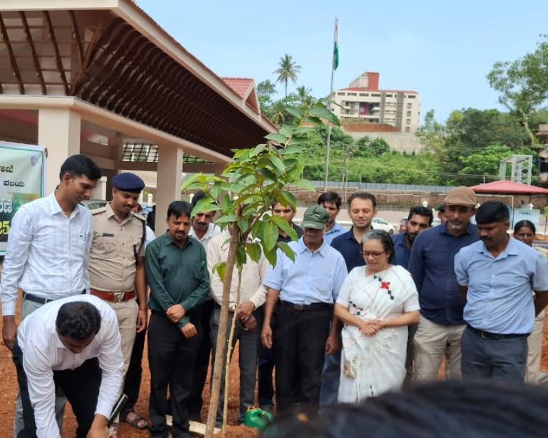Img 1 1 Environmental Sustainability Inchara Tree Plantation